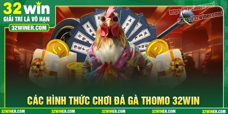 Các hình thức đá gà Thomo phổ biến nhất Các hình thức đá gà Thomo phổ biến nhất